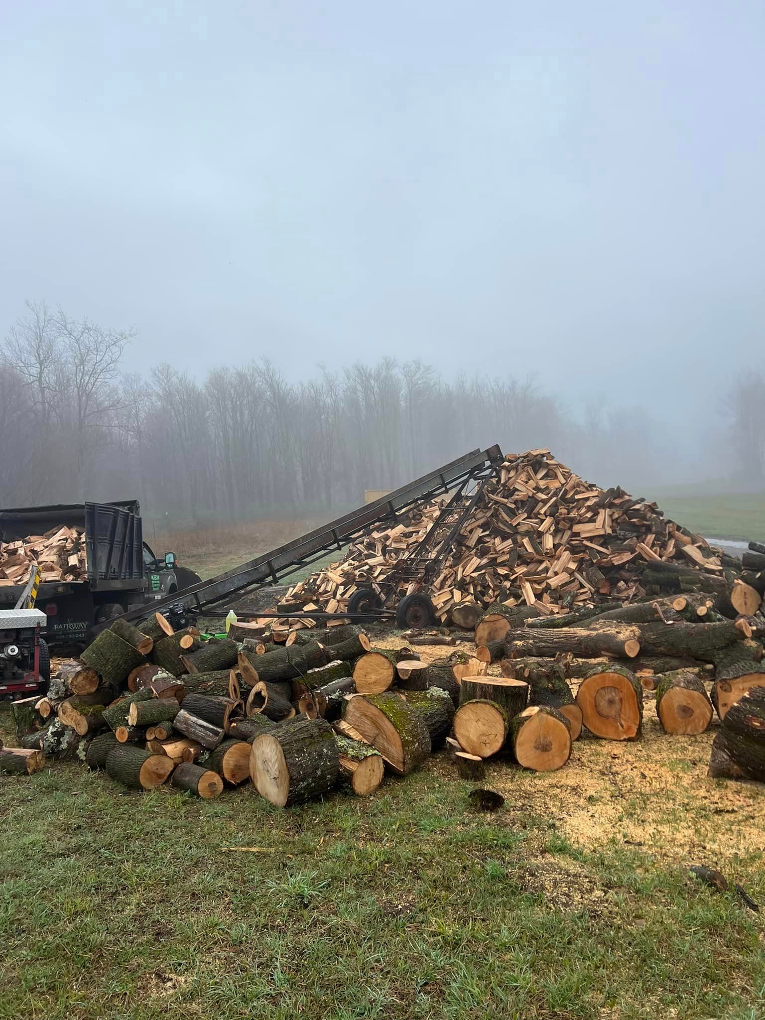 A pile of logs sitting on top of a grass covered field.