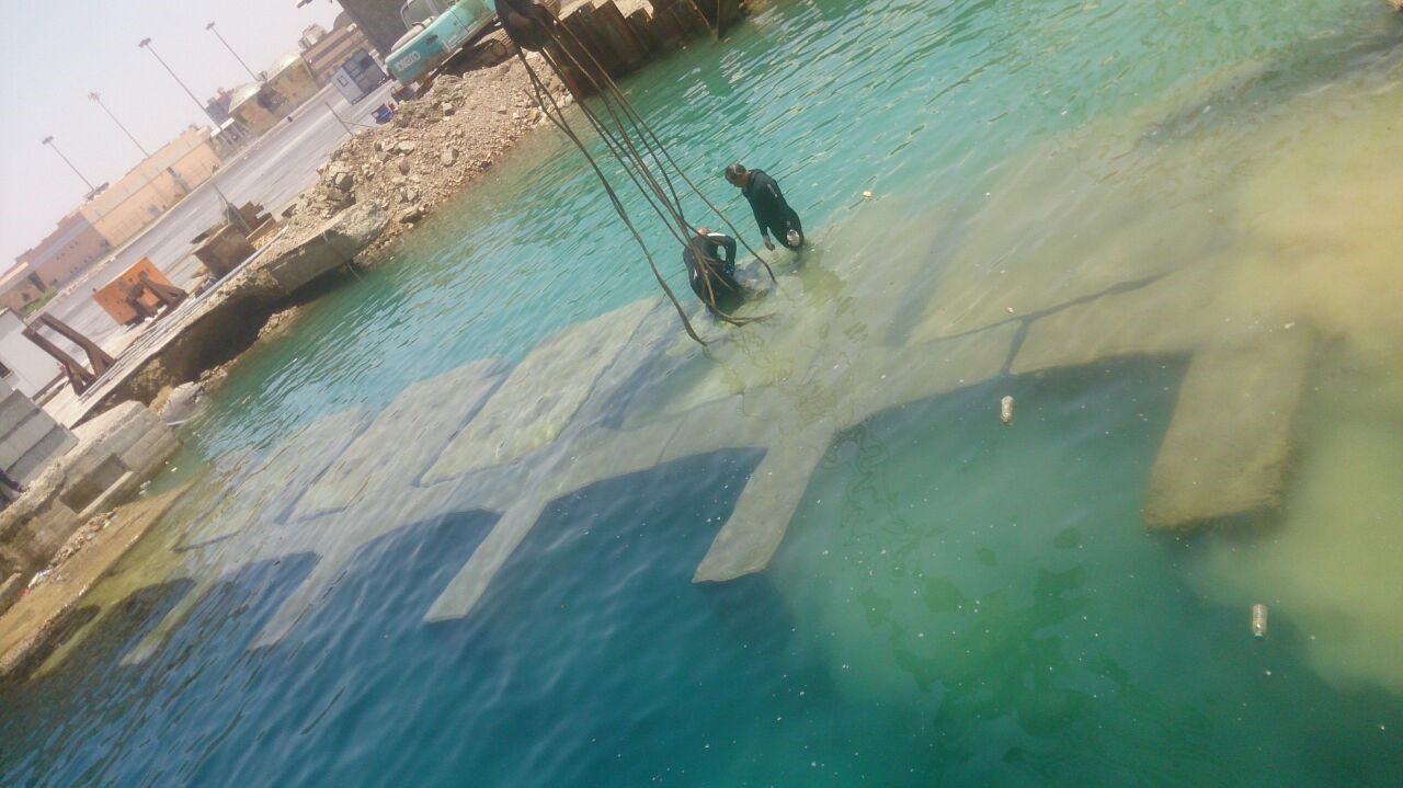 Project