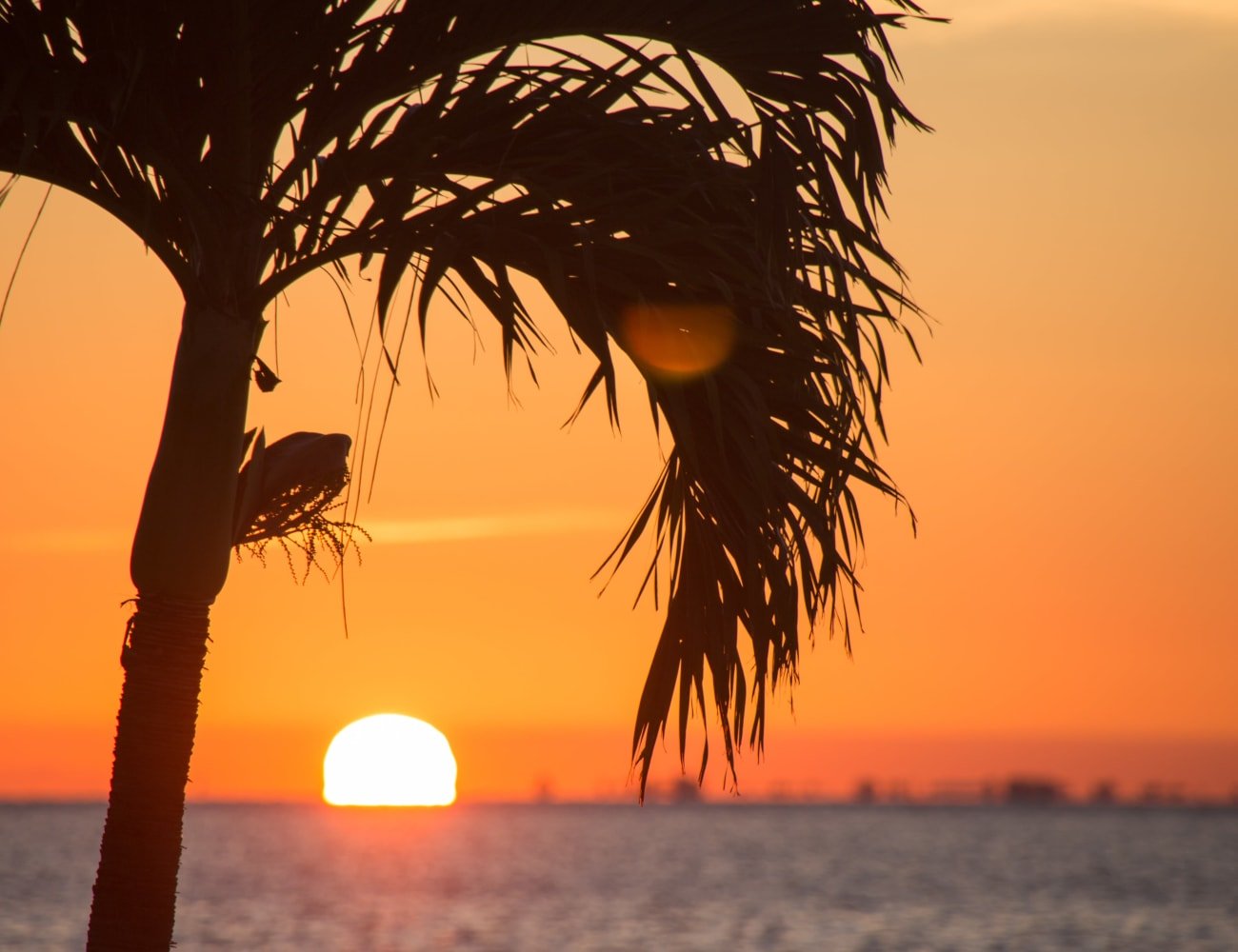 Gallery The Braxton Palm Bay, FL