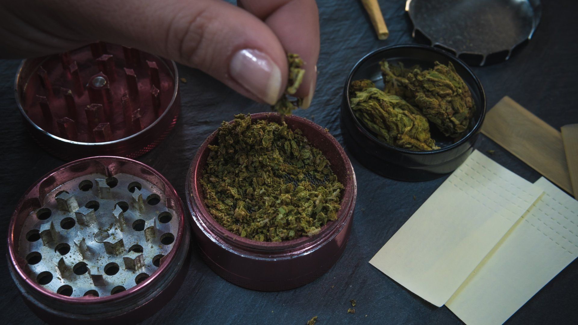 marijuana bail bonds