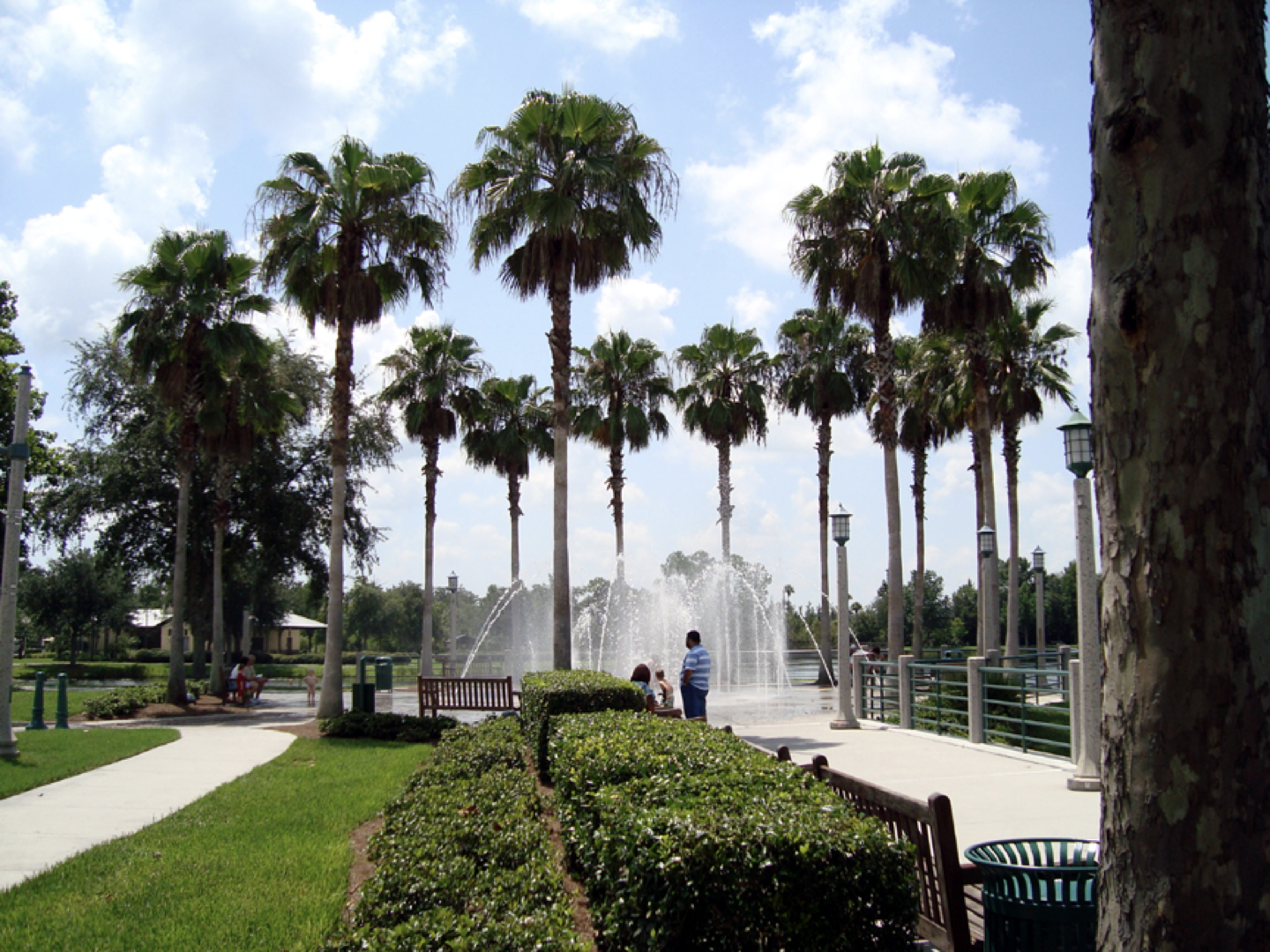 a park with palm trees and a fountain in the background
