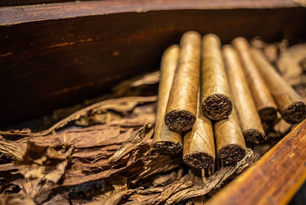 Rolled cigars resting in a wooden box on dried tobacco leaves
