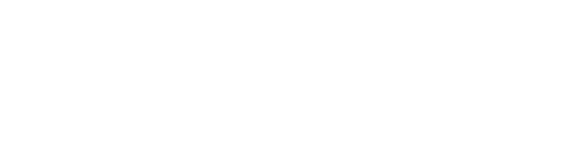 logo bianco gpfer