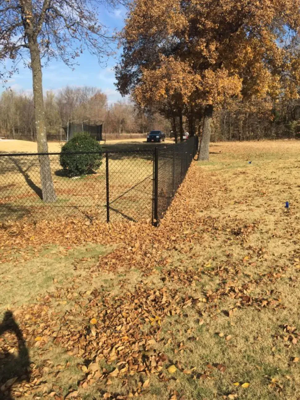 A chain link fence is surrounded by leaves in a field.