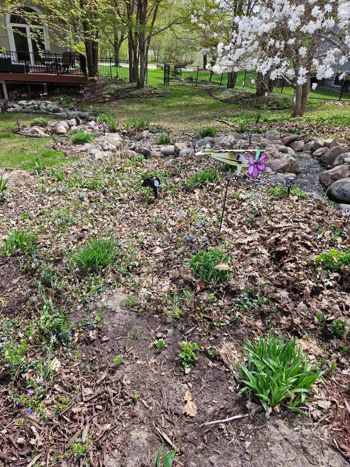 backyard cleanup