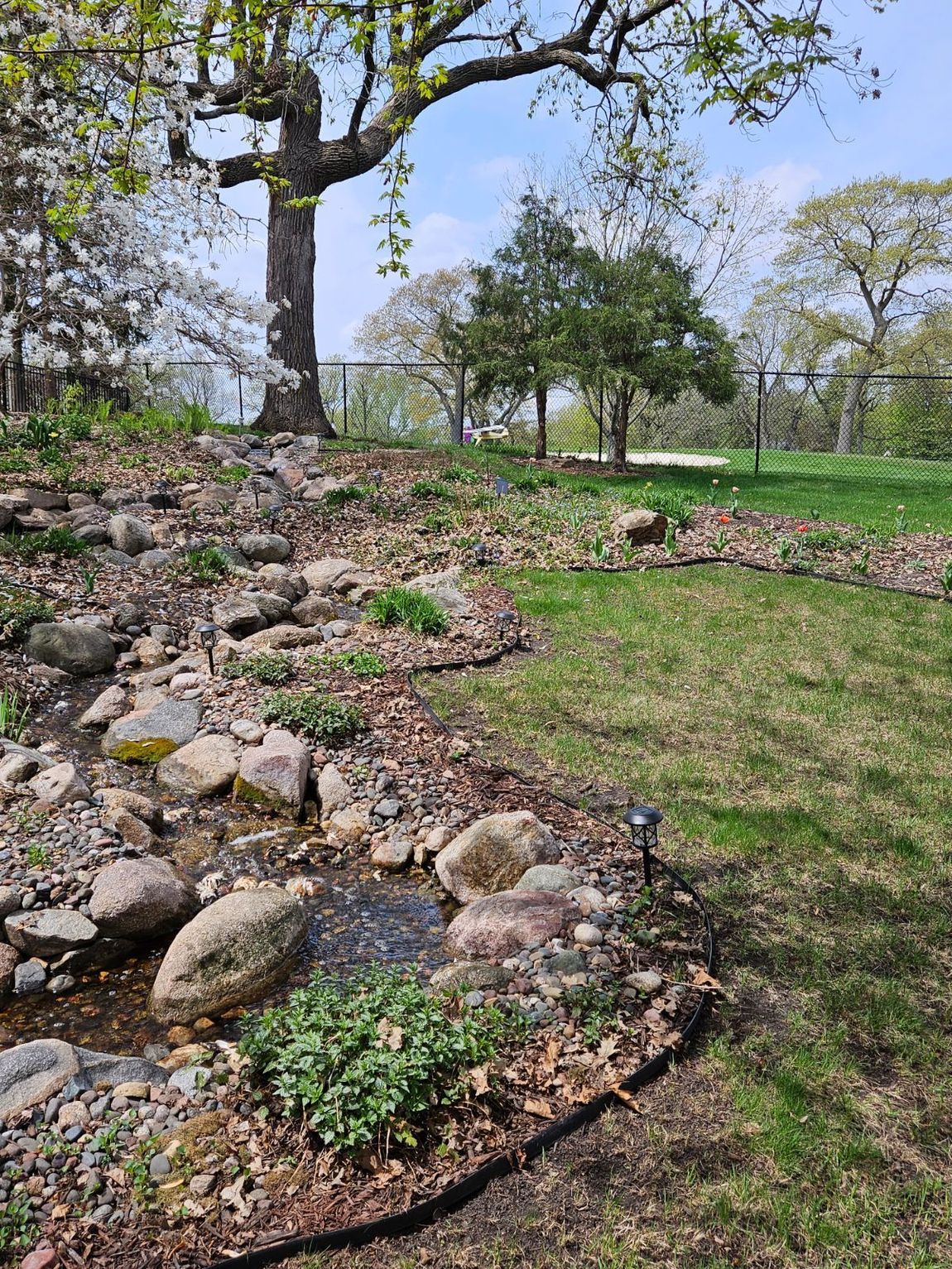 back yard cleanup
