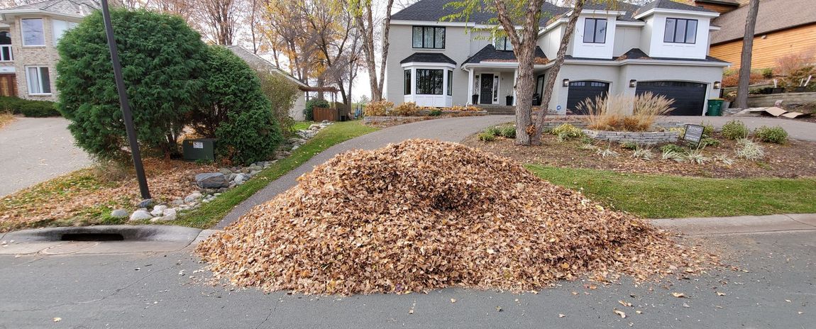 fall leaves clean up