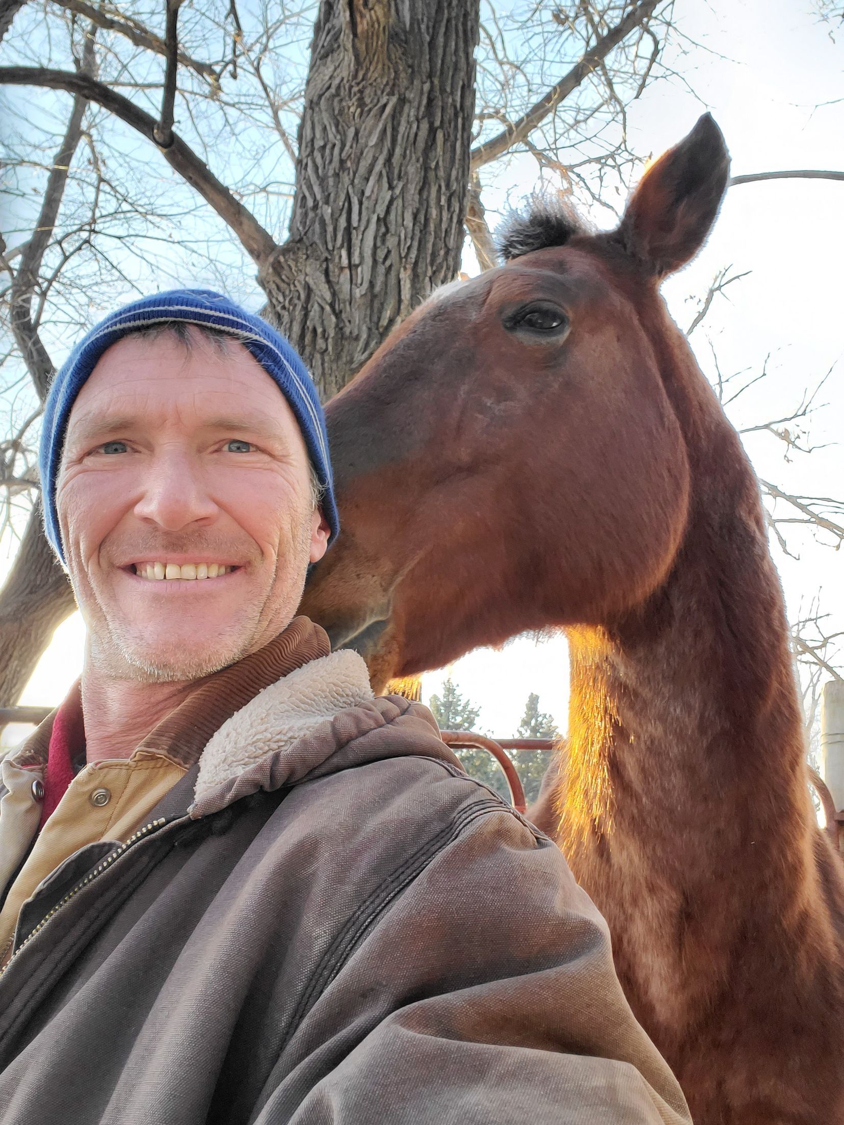 horse and guy