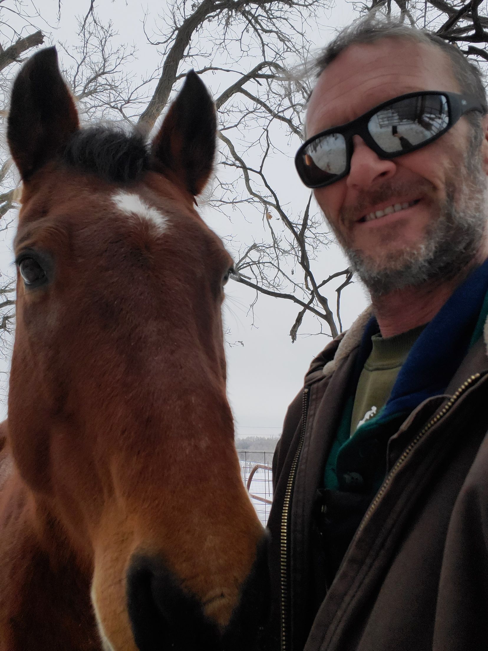 horse and beard