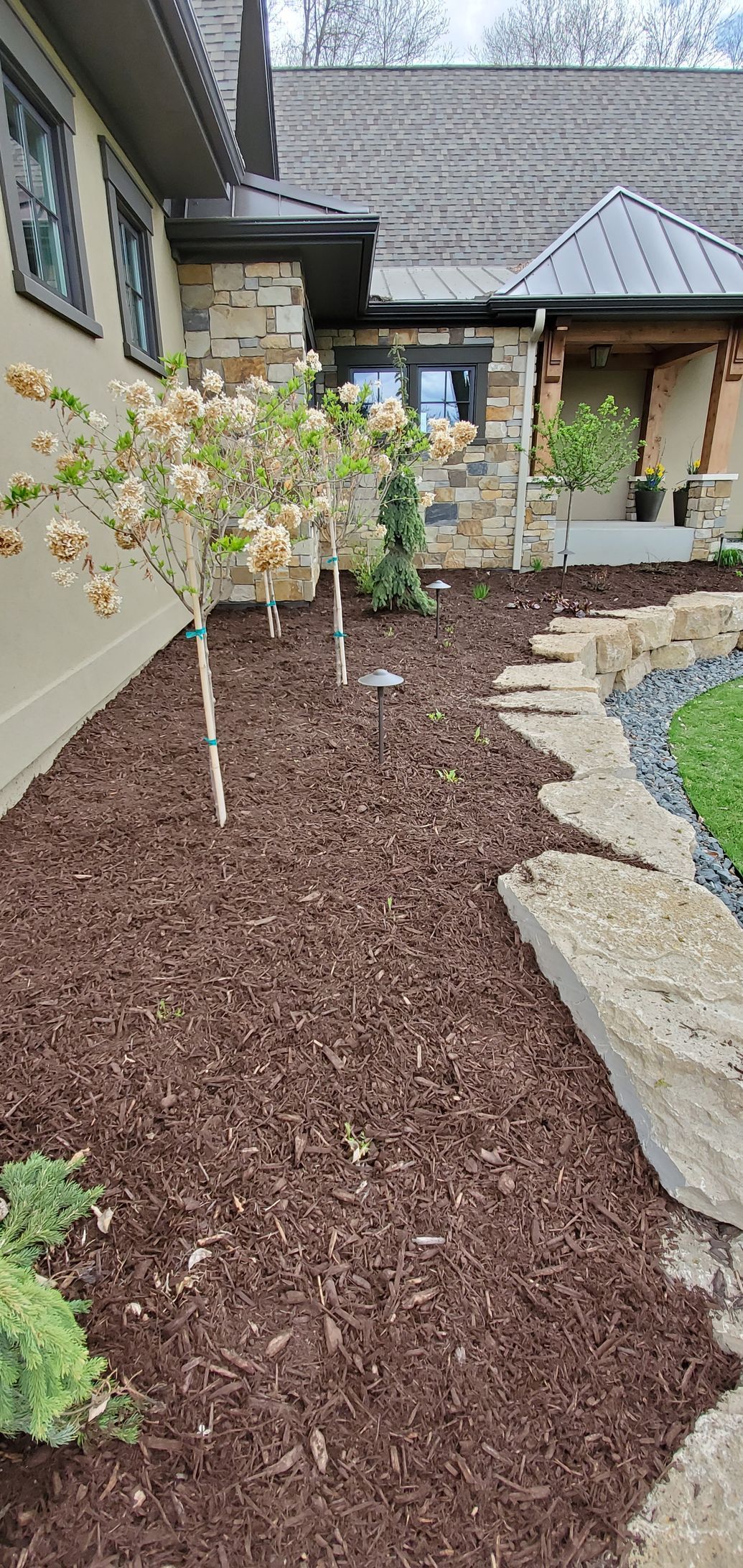 mulched trees