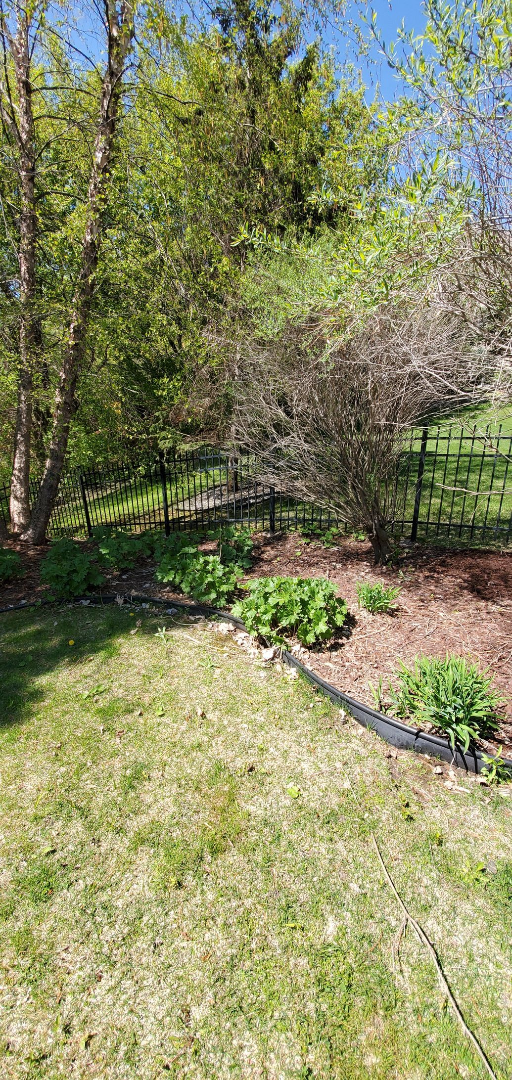 landscape work
