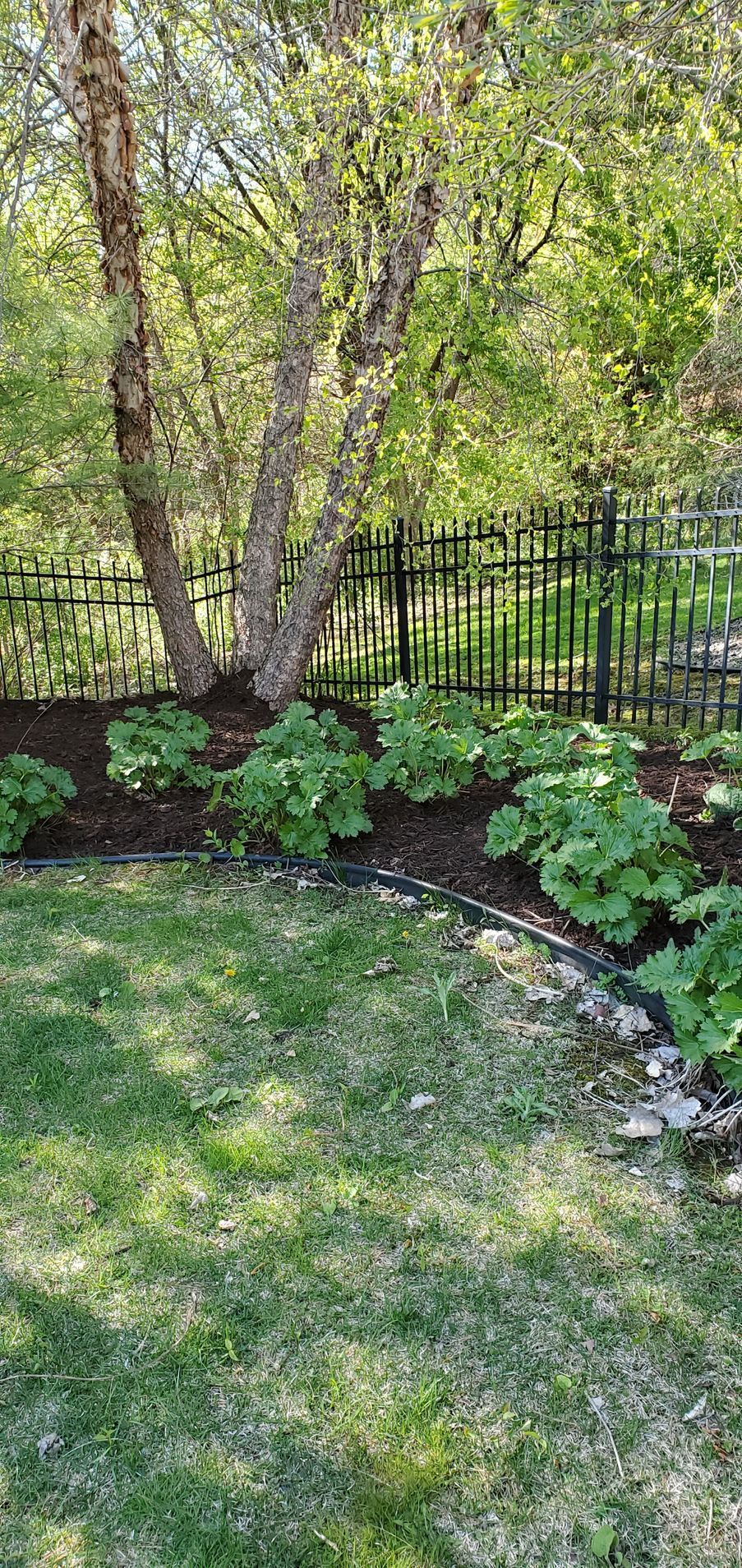 landscape job
