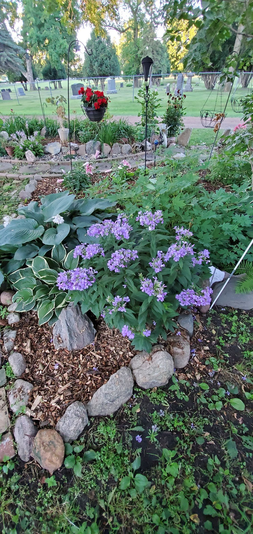 planting flowers