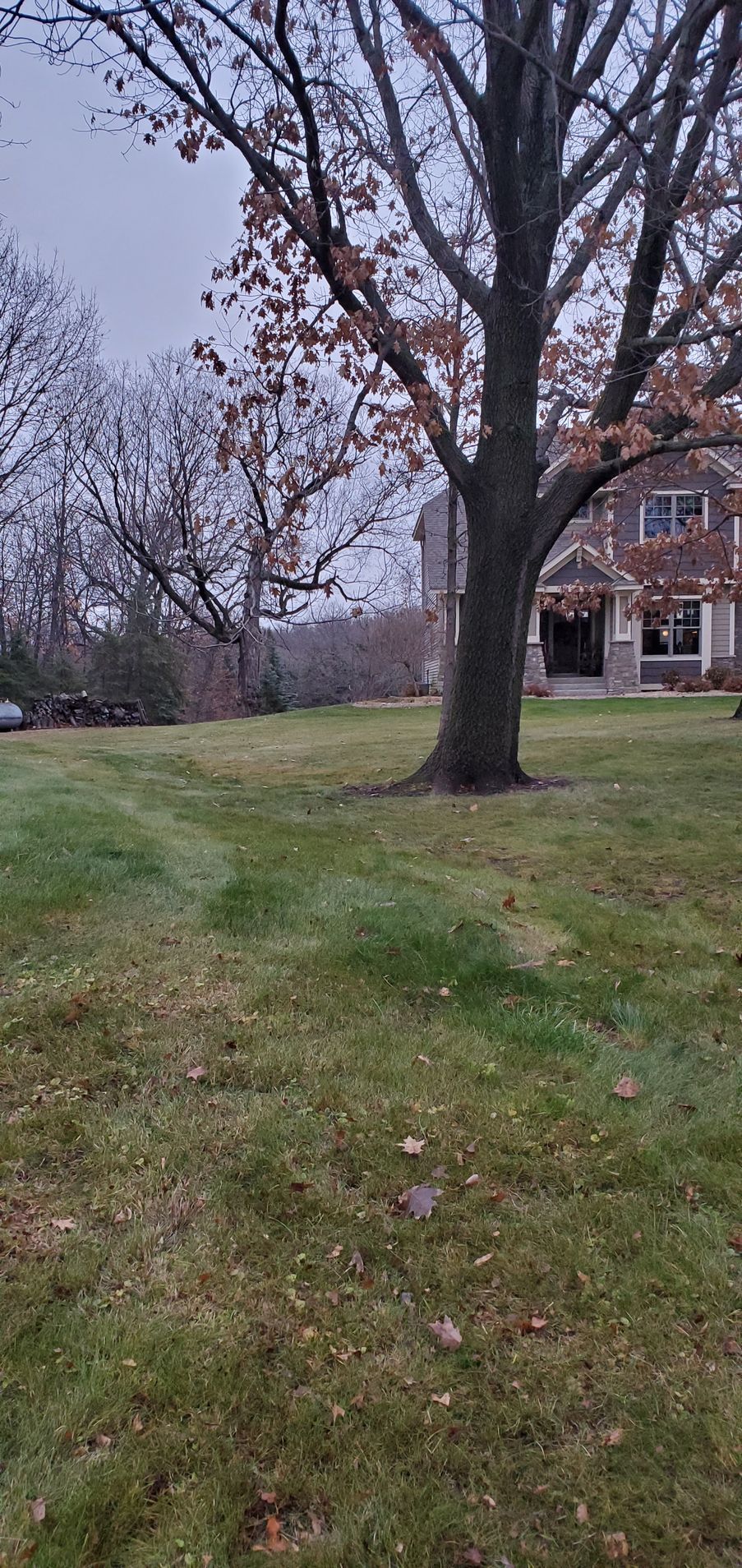 fall clean up