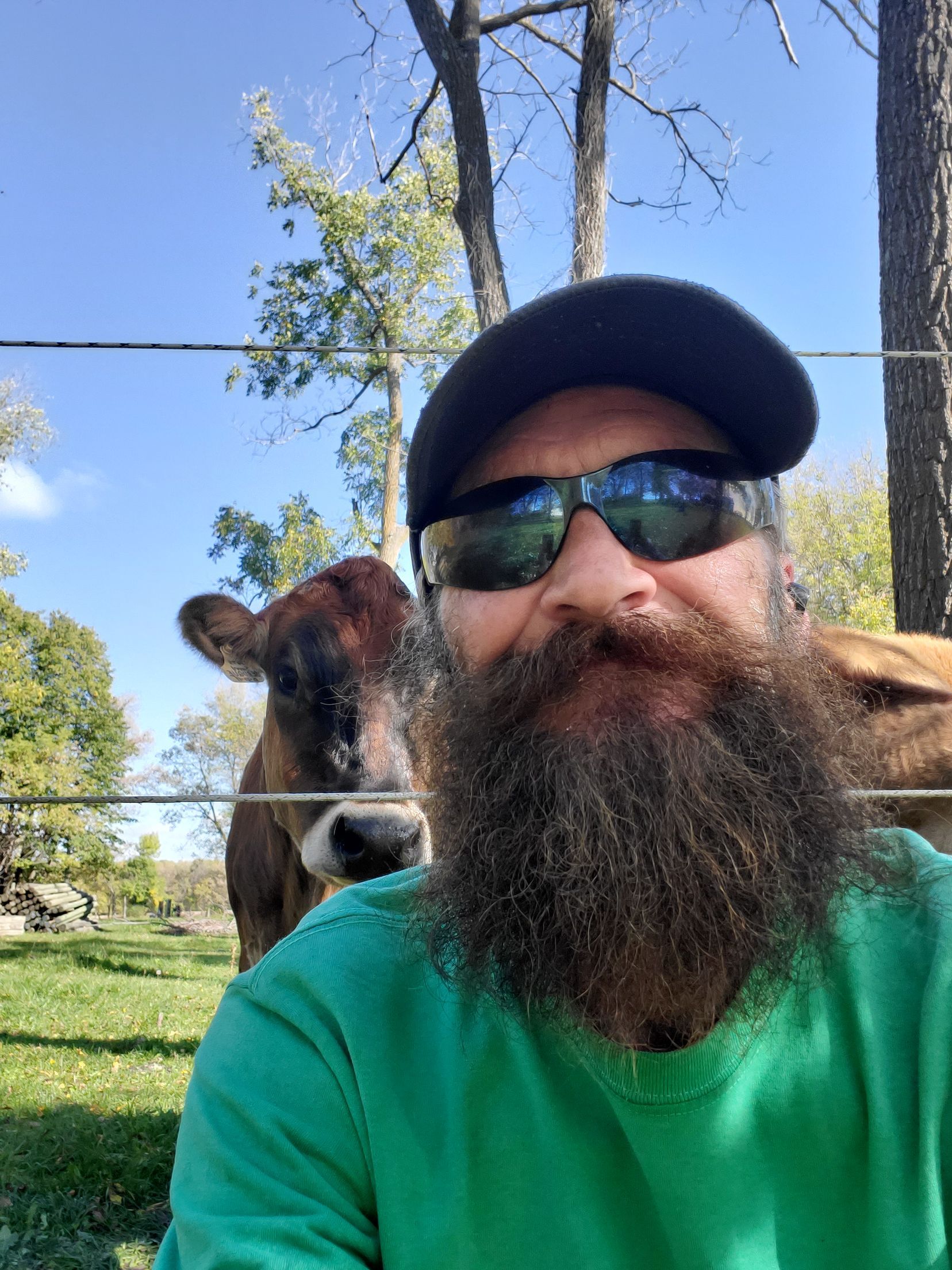 beard guy lawncare