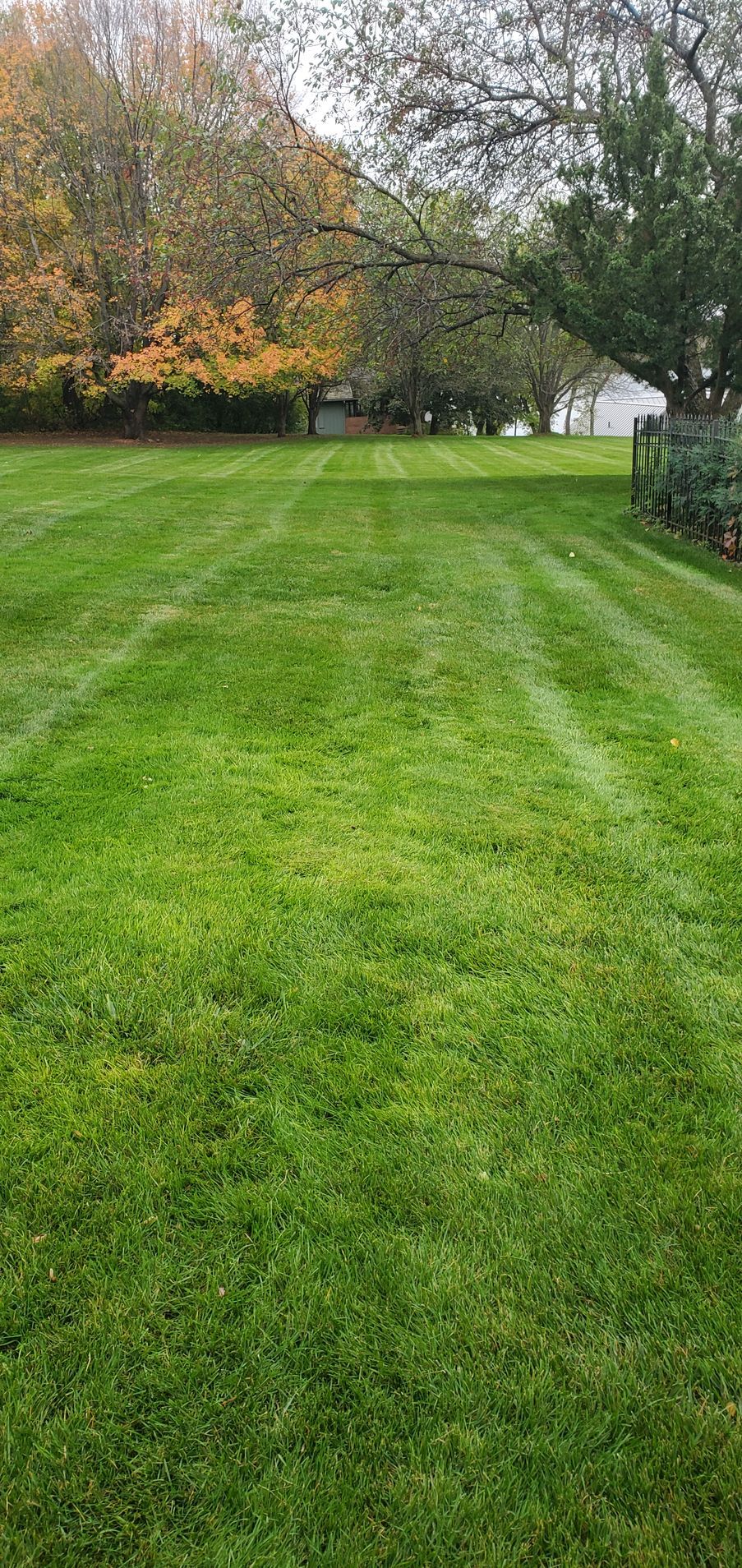 grass maintenance