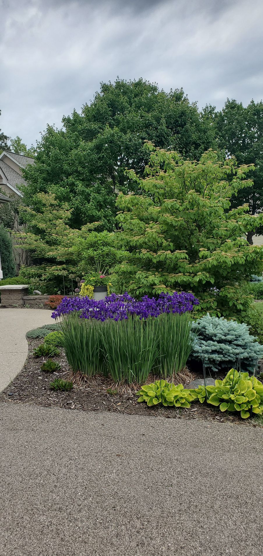 front landscape