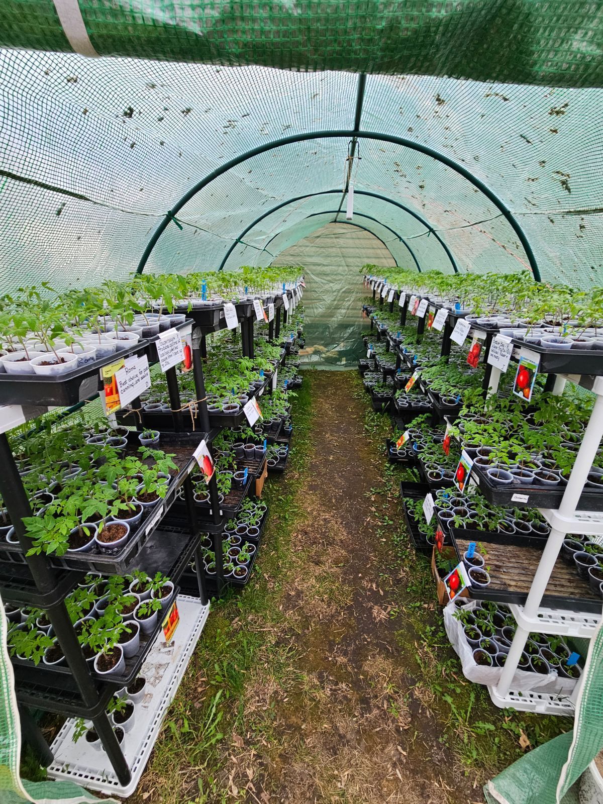 greenhouse