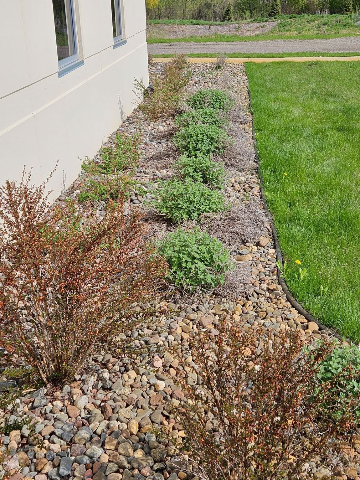 Spring garden clean up