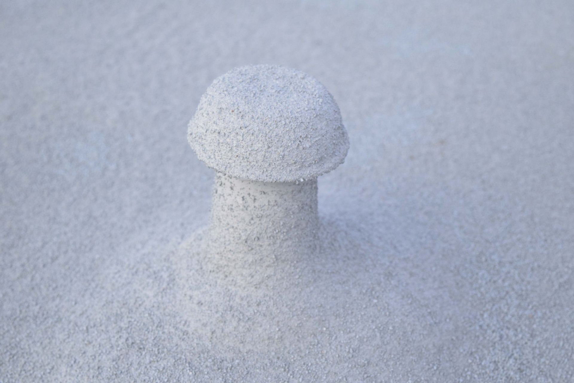 A small white mushroom-shaped object dusted with snow on a snowy surface.