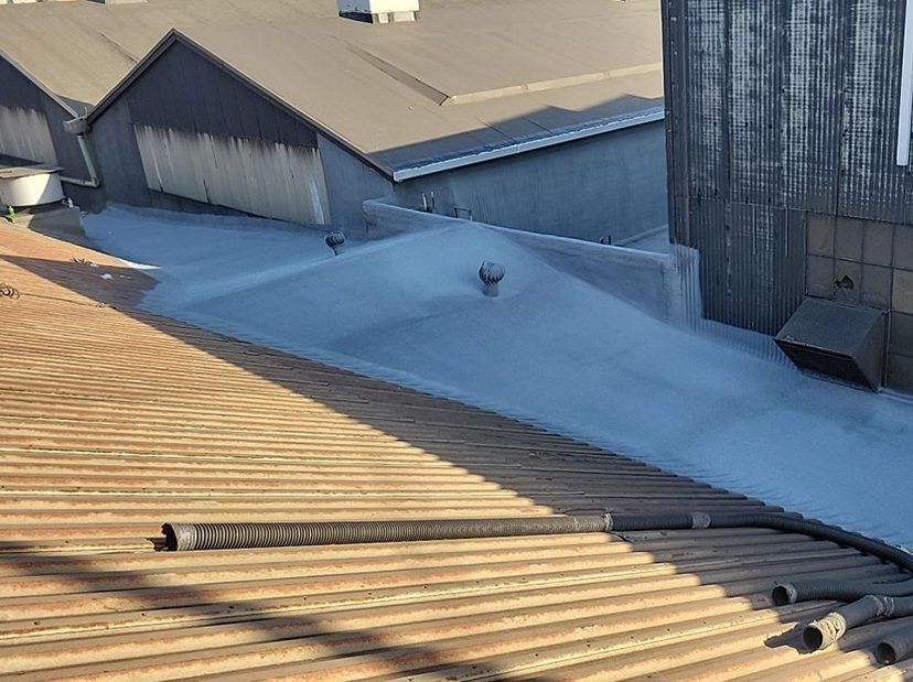 Rooftops with corrugated metal panels, skylights, and a small vent under bright sunlight.