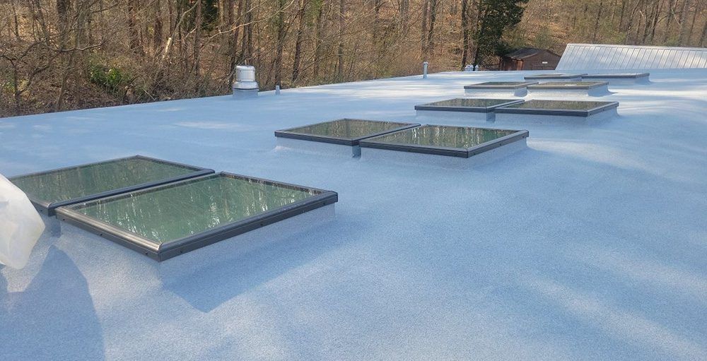 Flat blue rooftop with several skylights and trees in the background