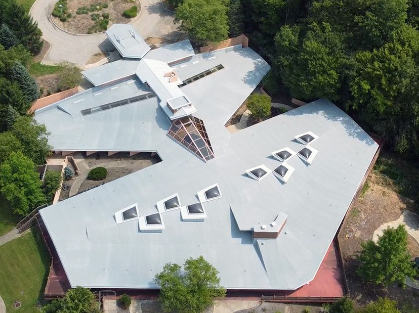 Aerial view of a modern house with a white roof, skylights, and surrounding trees