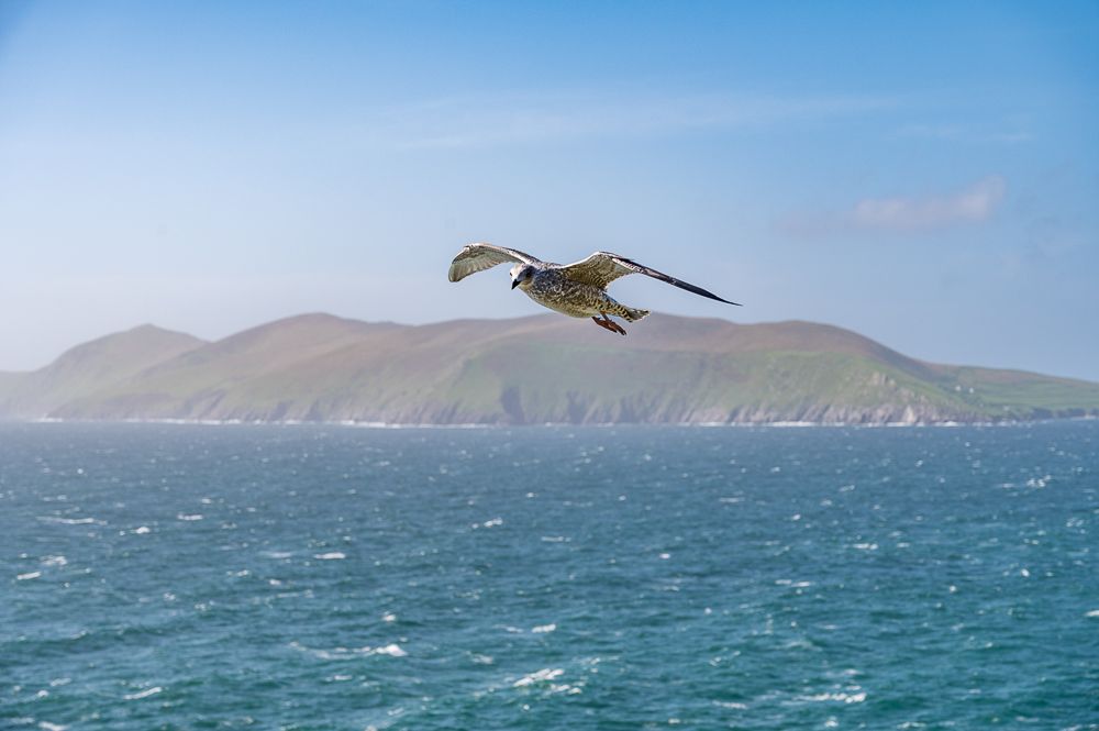 Irland