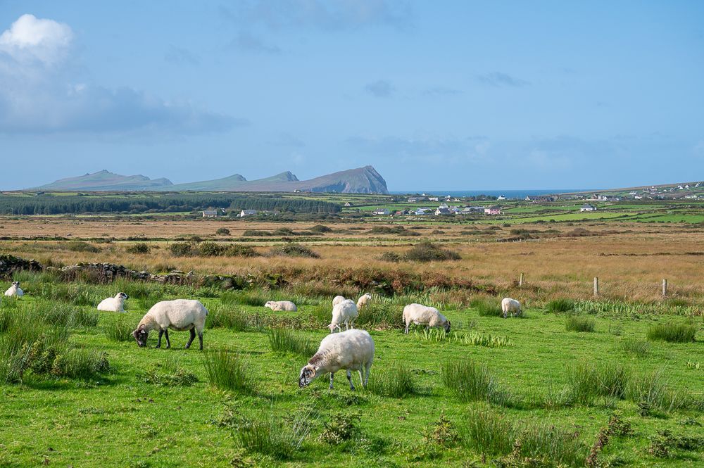 Irland