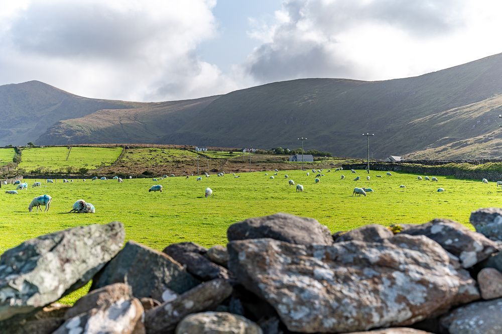 Irland