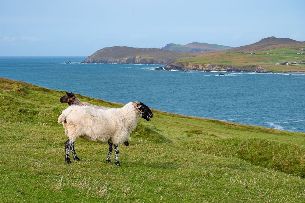 Irland