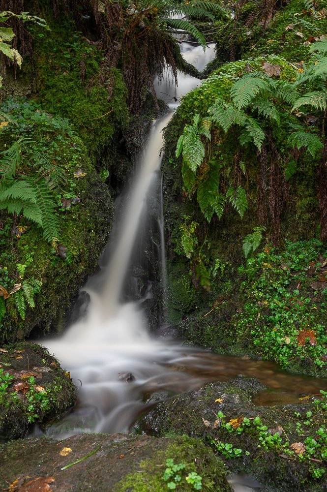 Wasserfall