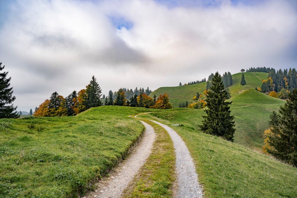 Emmental