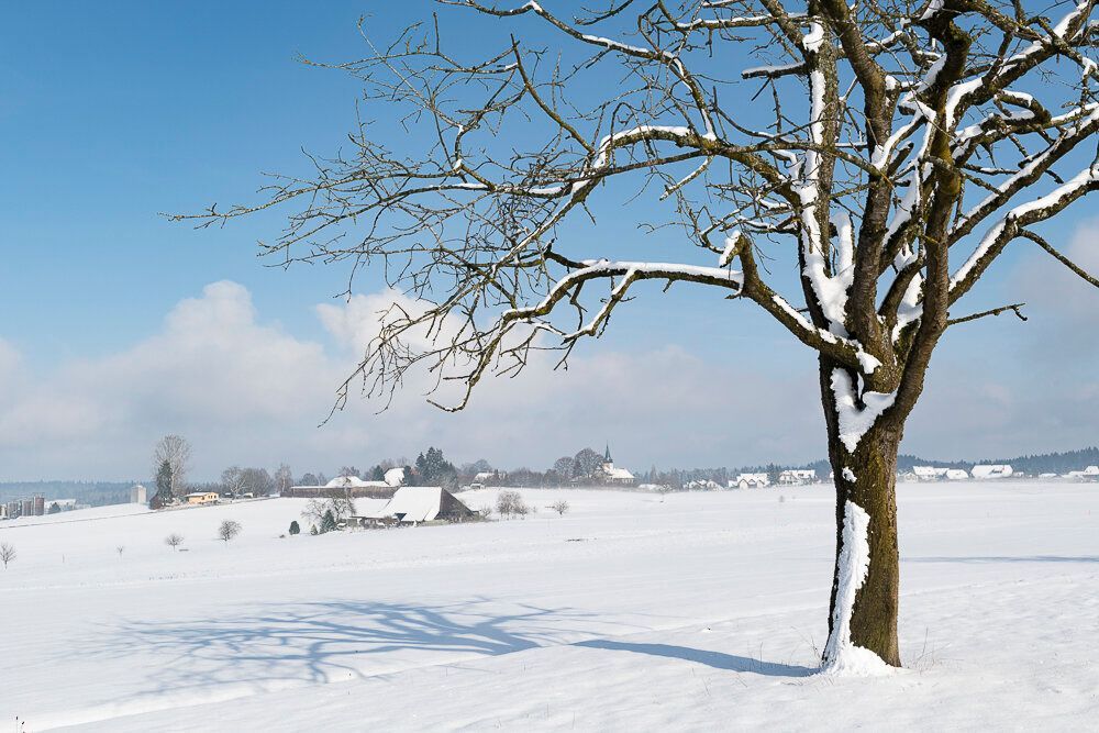 Thunstetten