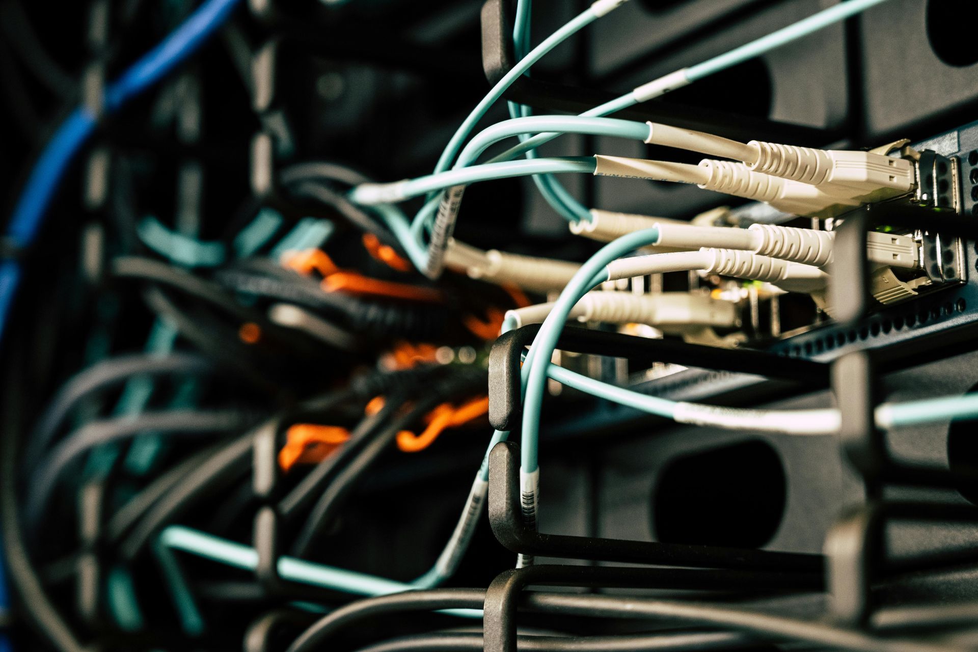Network cables plugged into a server rack, various colors, close-up.