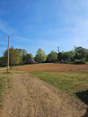 Gravel path through a grassy field with trees and a utility pole under a clear blue sky