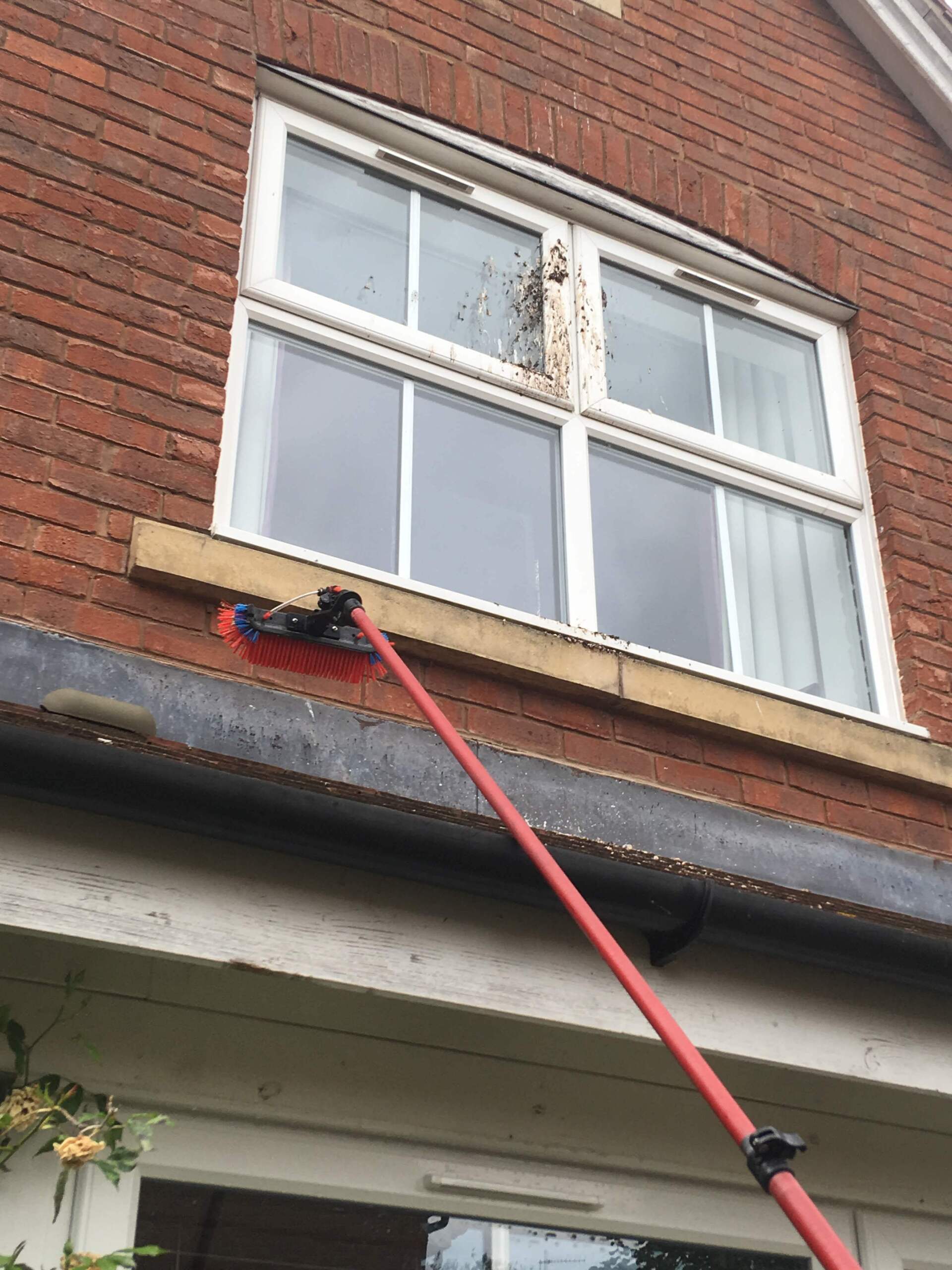 Window Cleaning