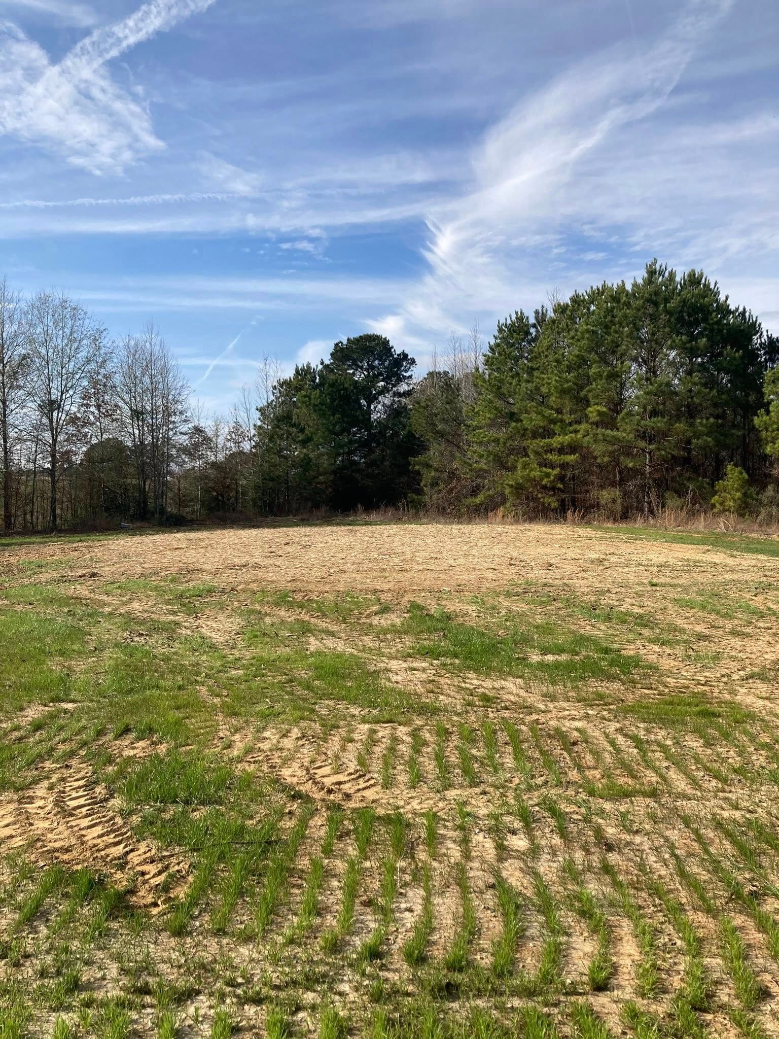 A freshly tilled, sparse green field sits under a bright blue sky with light clouds, bordered by dense trees.