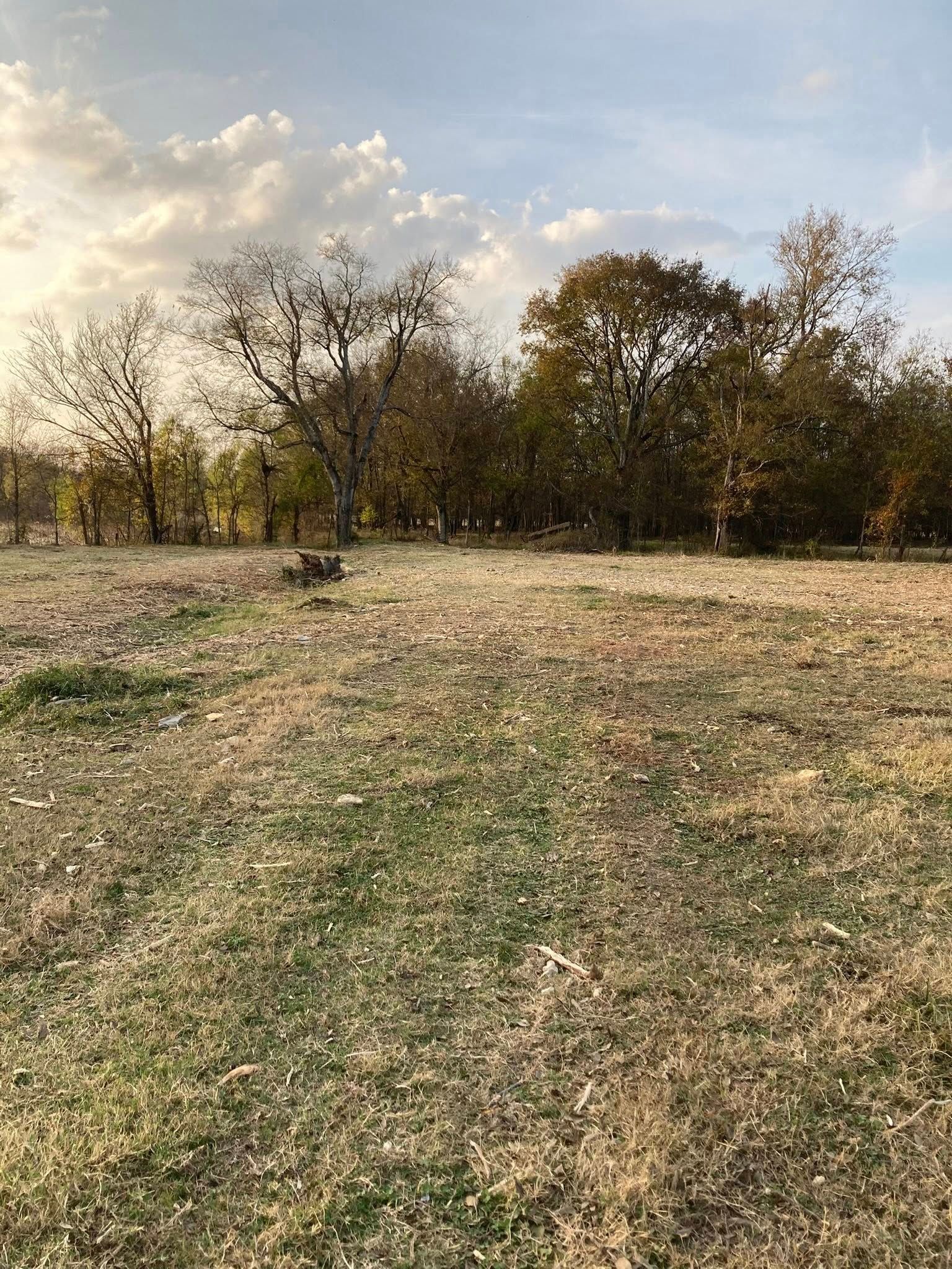 A dry, grassy field leads to a line of trees against a blue sky with soft white clouds.