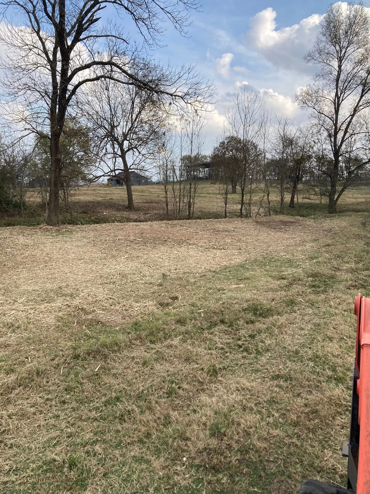 A grassy field with scattered trees under a partly cloudy sky, showing a glimpse of a fence and a distant structure.