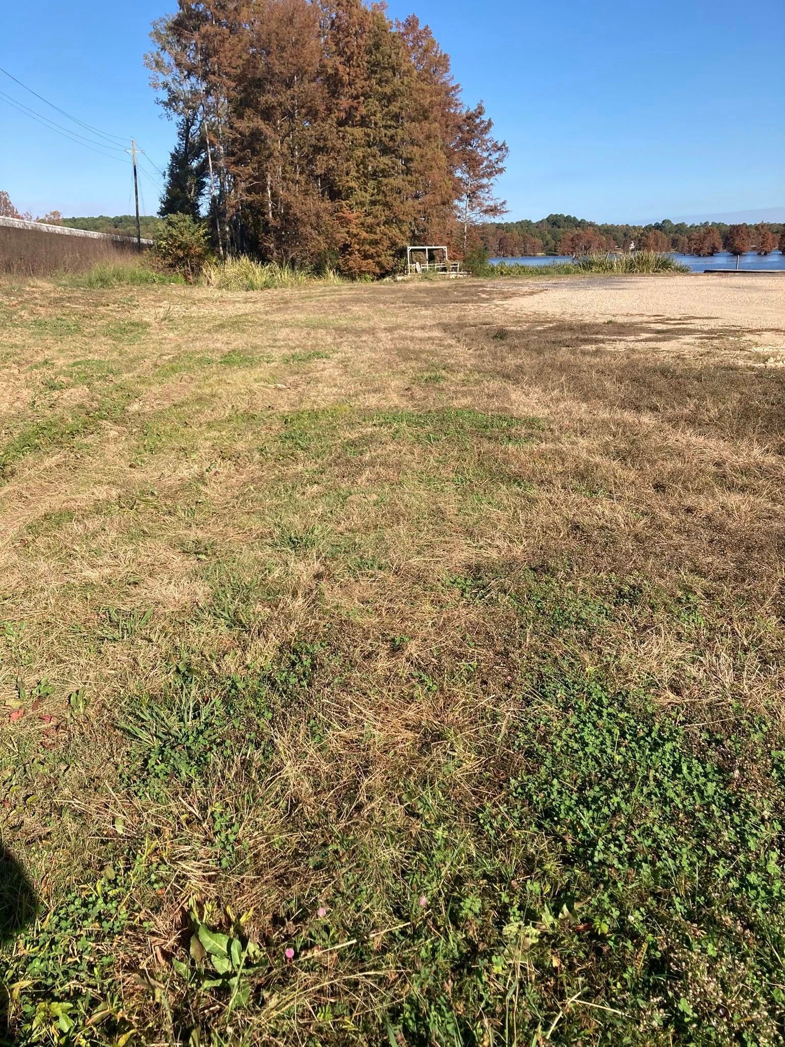 A sunlit, grassy field leading toward a line of brown-leaved trees and a distant lake under a clear blue sky.