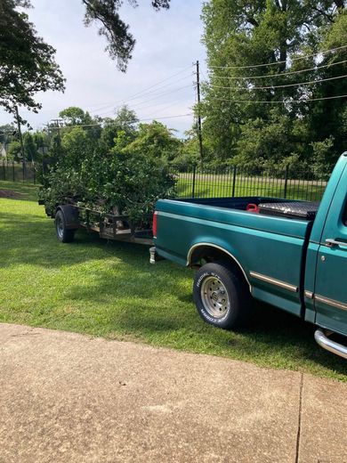 A teal pickup truck parked on a grassy lawn, pulling a flatbed trailer loaded with leafy green brush and branches.