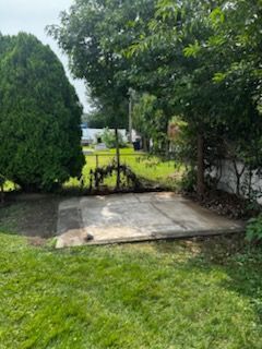 Concrete patio slab in a grassy backyard with trees and shrubs around it