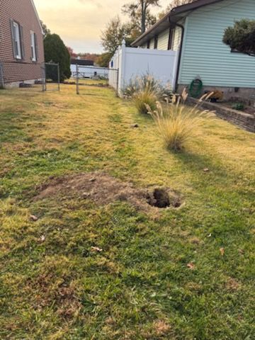 Backyard lawn with a sinkhole near a house and shed at sunset