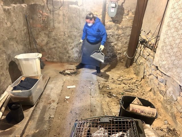 Person in blue jacket crouches in a stone basement, holding a trowel near a hole in the floor.