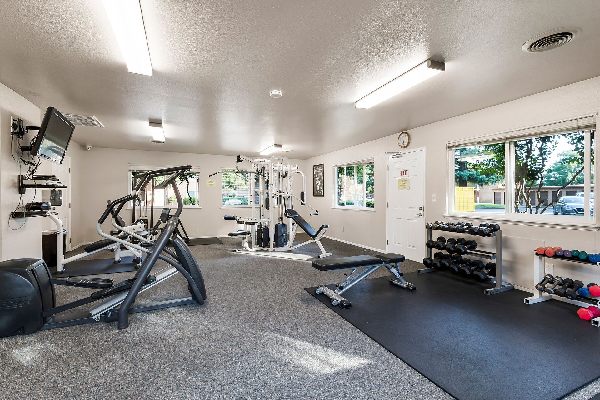Pine Tree Gym