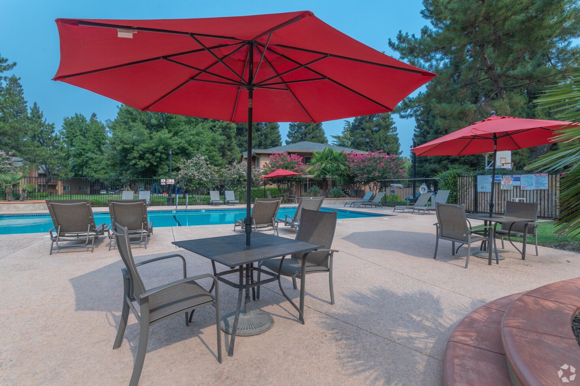 Pine Tree Pool