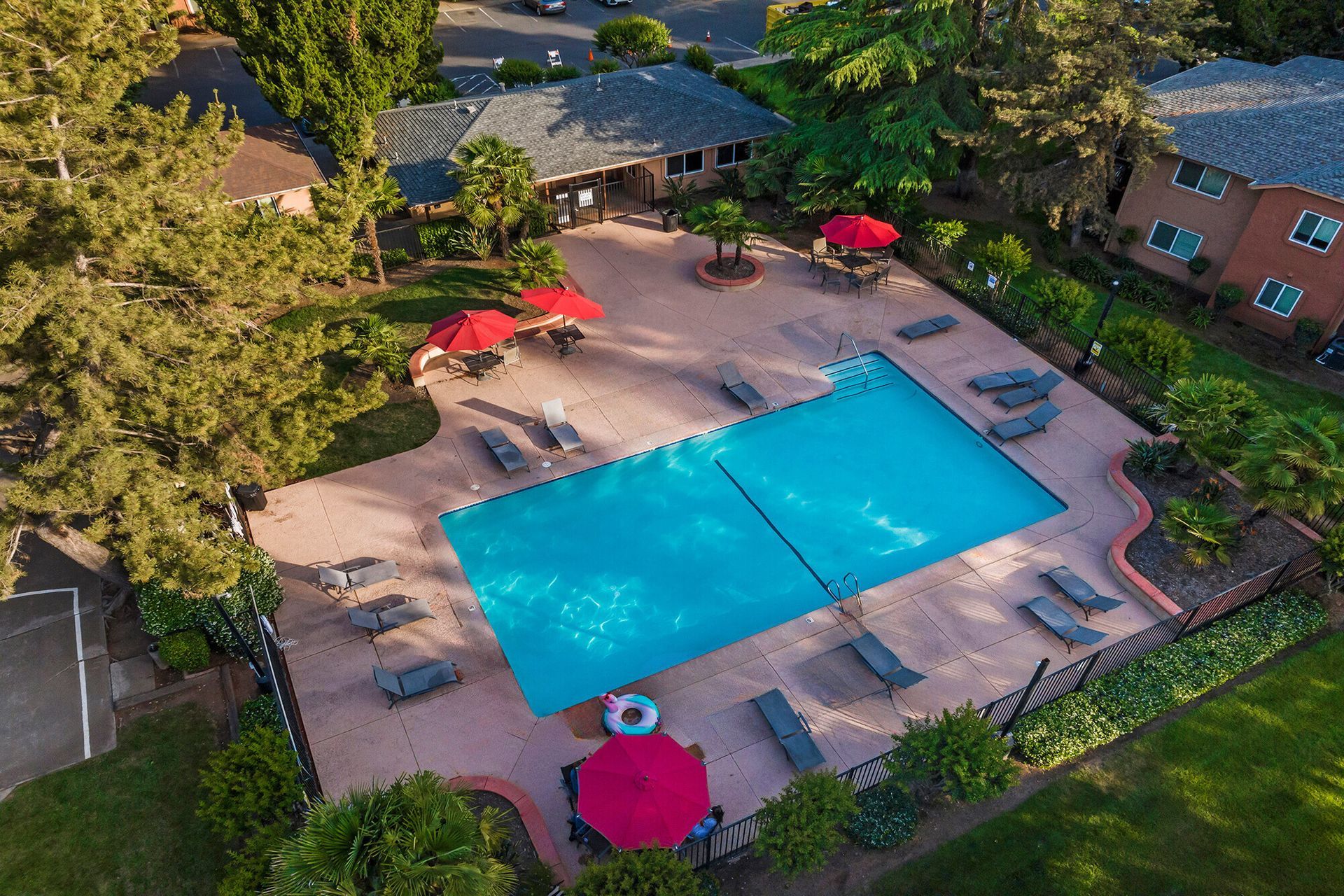 Pine Tree Pool Aerial