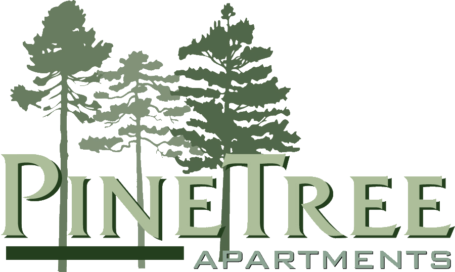 Pine Tree Logo