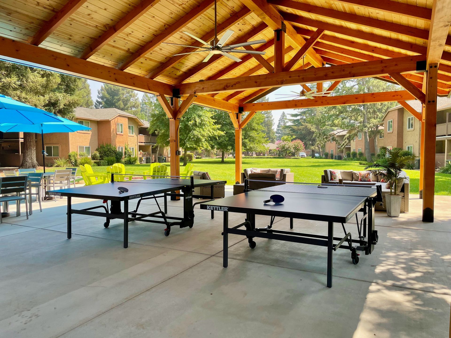 Pine Tree Outdoor Lounge